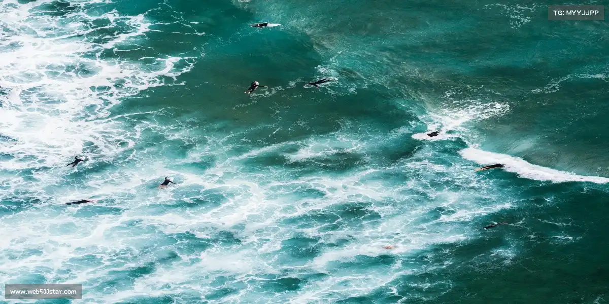 500彩票网官方——💥爆发潜能，挑战不可能！